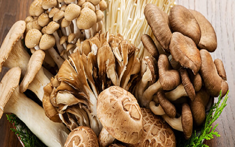 きのこの健康パワーを活かす料理法