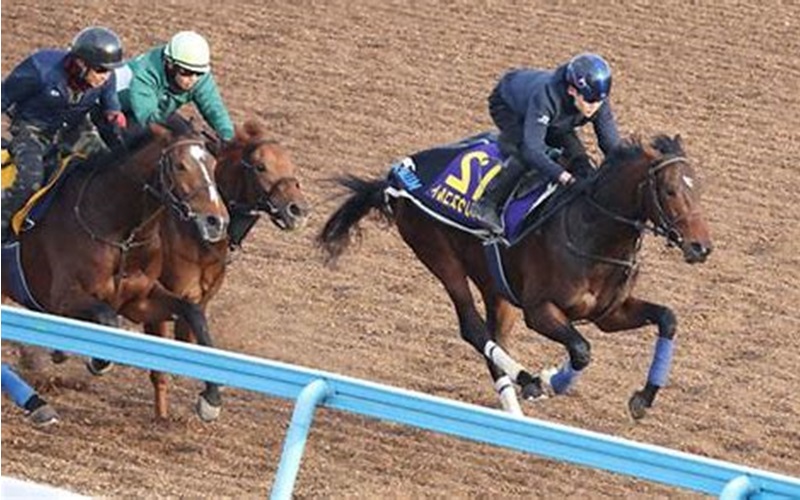 【ホープフルS】シリウスコルト、美浦坂路で驚異的なタイムを記録！