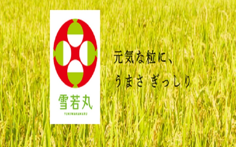 感動の雪若丸の物語