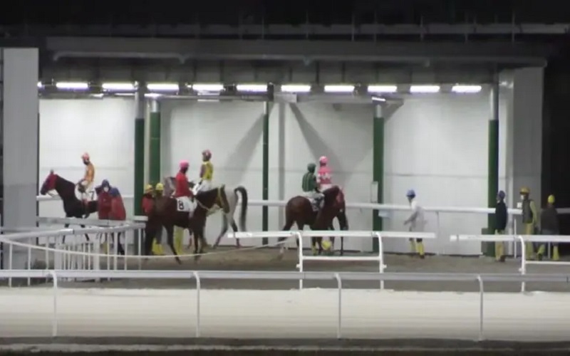 【有馬記念枠順】公開！大注目の出走馬と枠番号は？