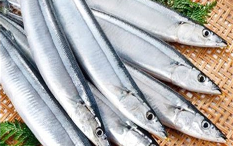 さんまの魅力とは？日本人の大好きな秋の風物詩